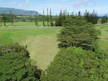 MLS#713940 — Kilauea Real Estate