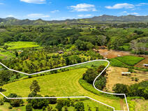 MLS#722120 — Kapaa Real Estate