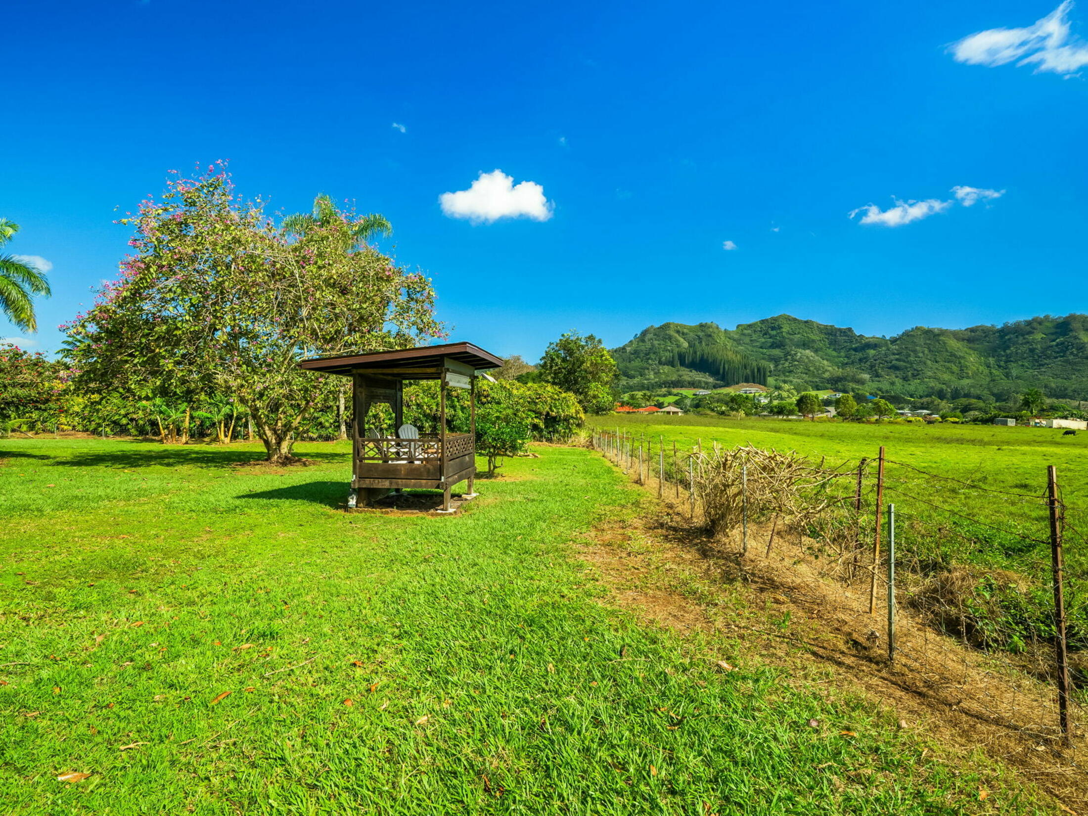 Property photo 29