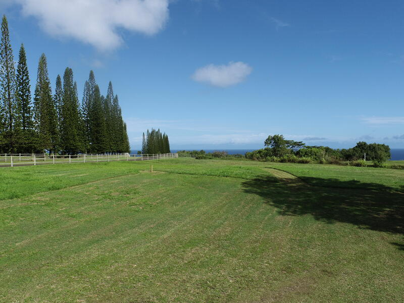 MLS#730220 — Kilauea Real Estate