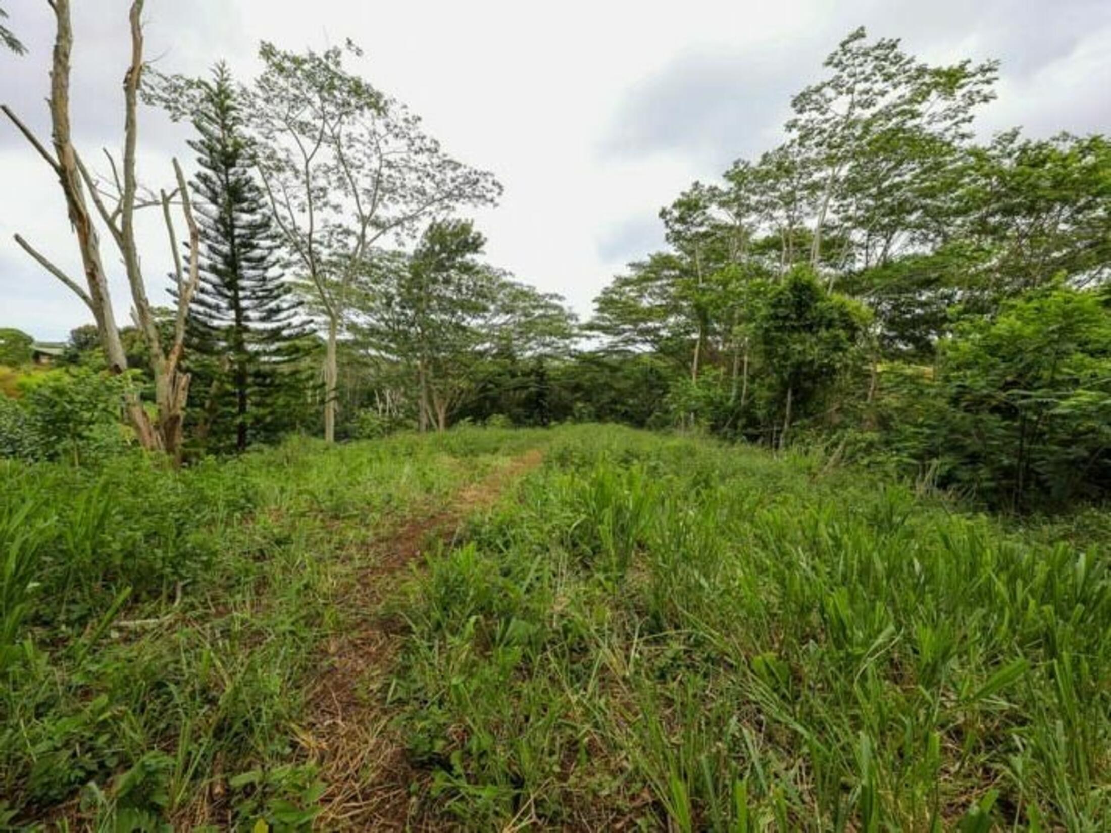 Property photo 20