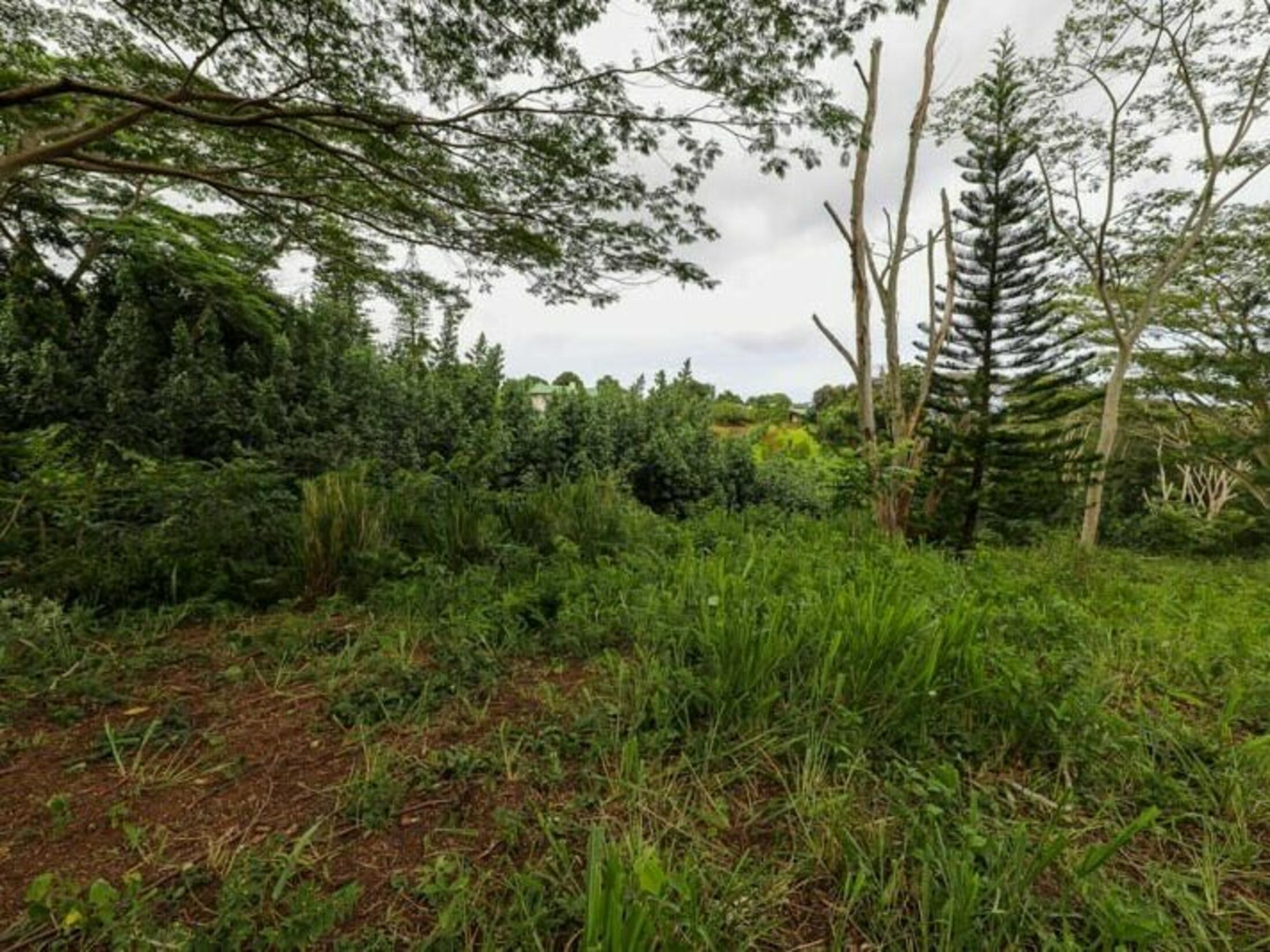 Property photo 21