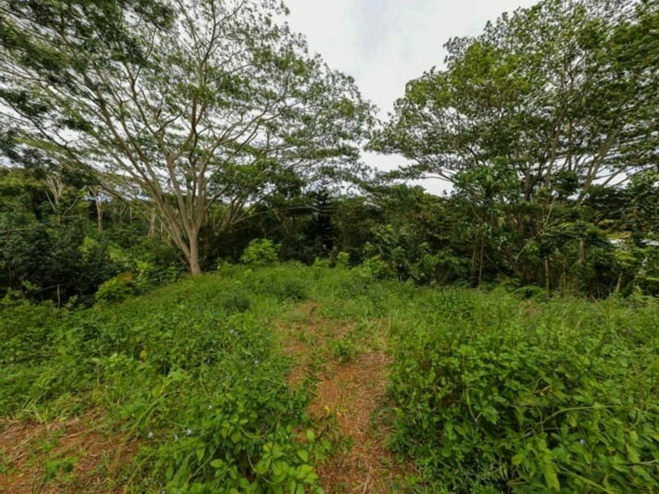Property photo 24