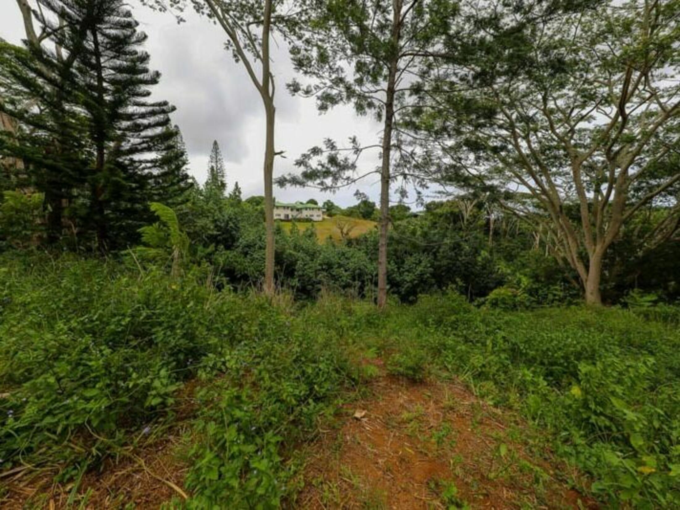 Property photo 25
