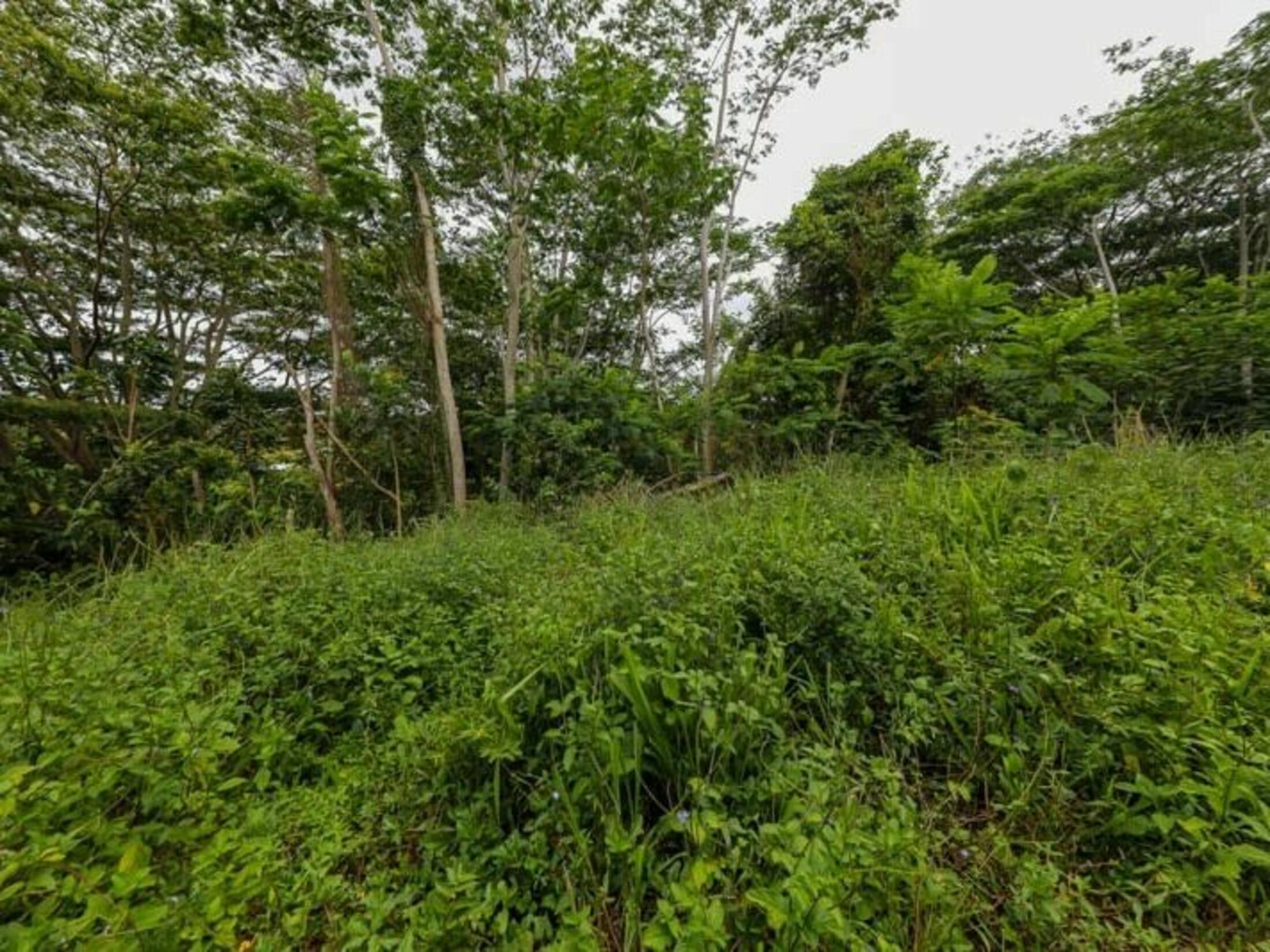 Property photo 27