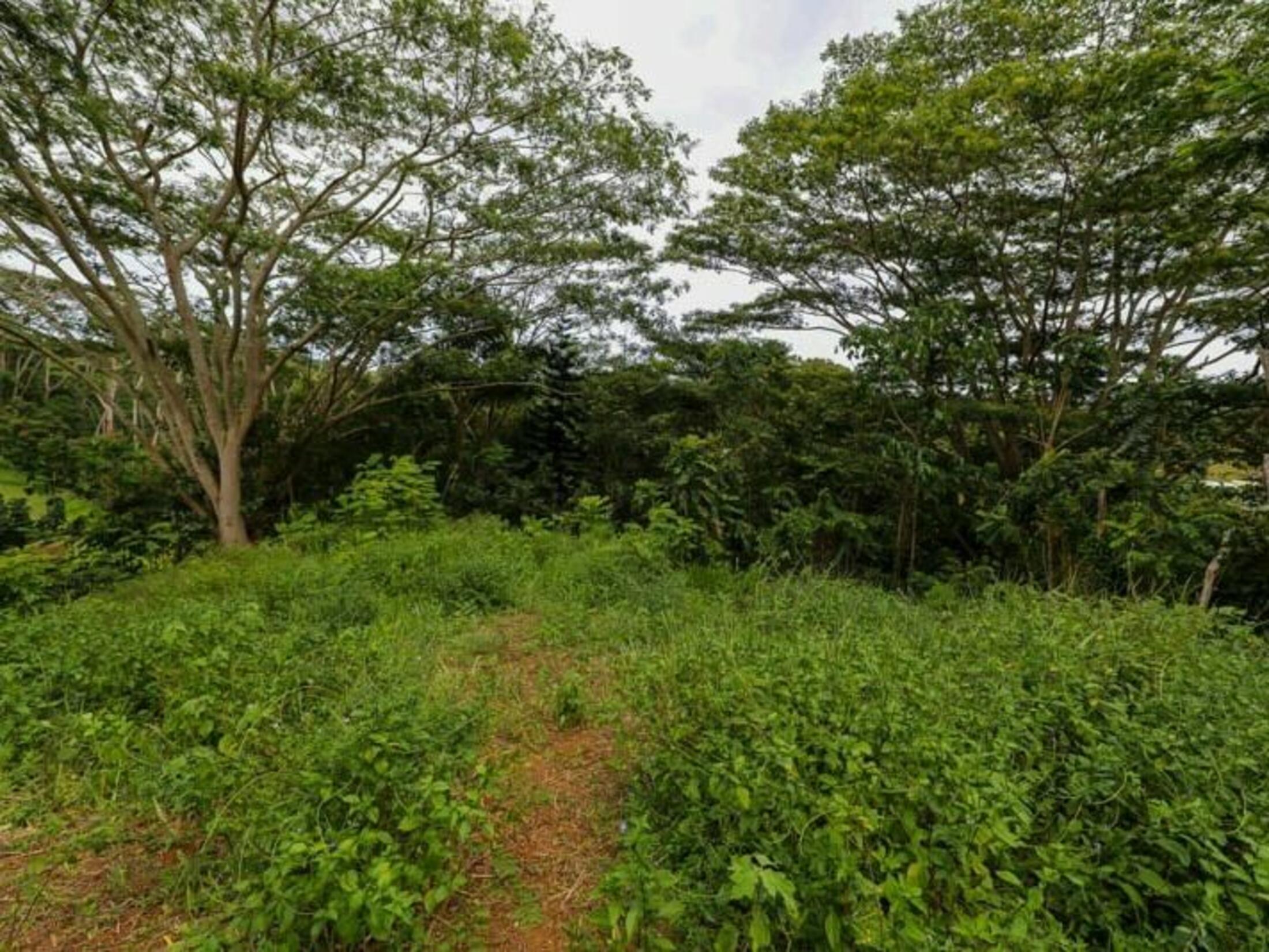 Property photo 28