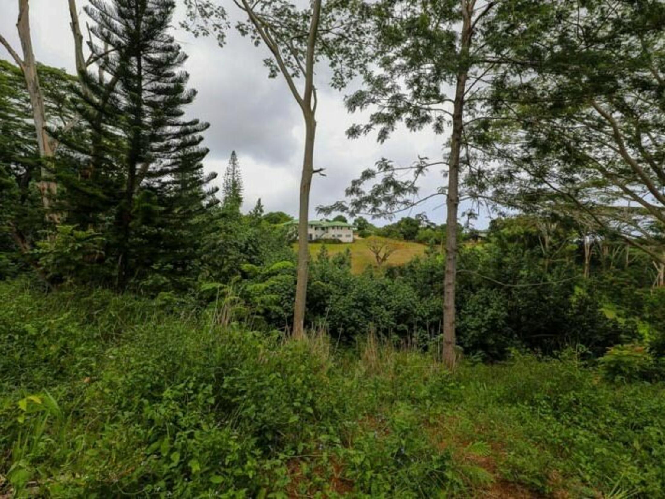 Property photo 29