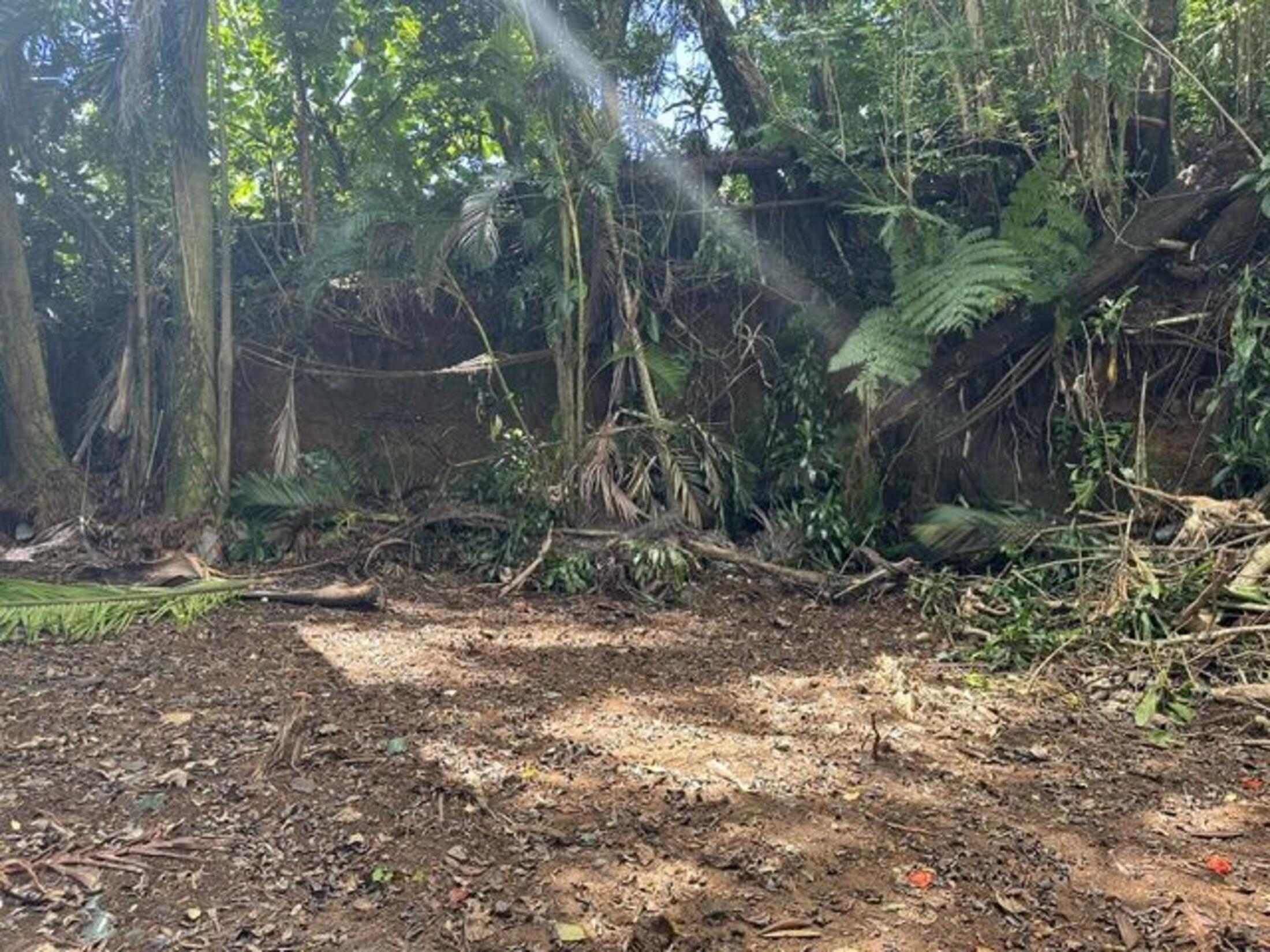 Property photo 15