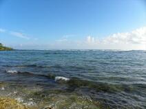 MLS#265791 — Anahola Real Estate