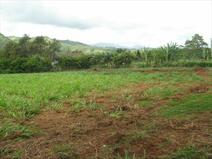 MLS#284601 — Kapaa Real Estate