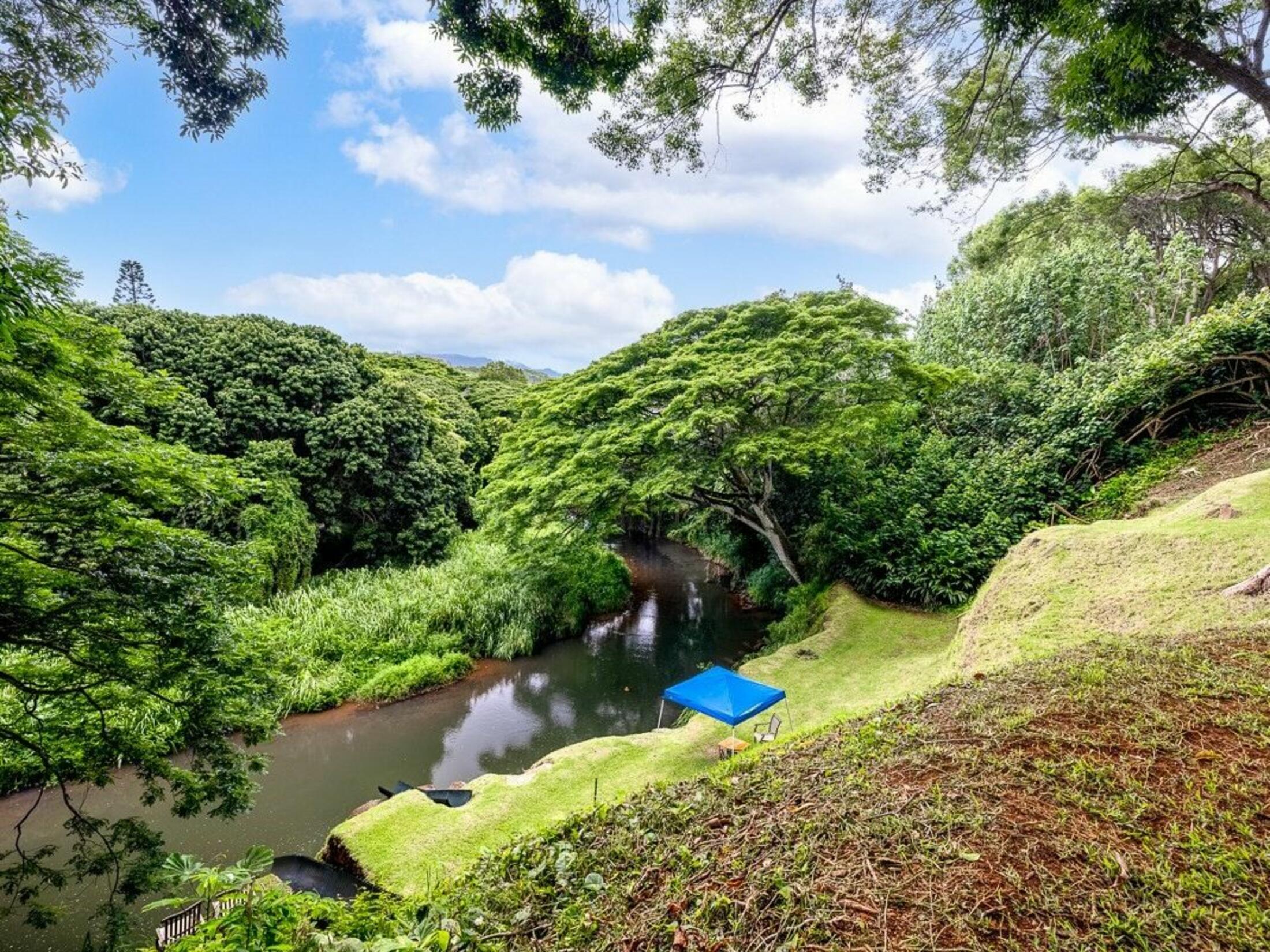 Property photo 21