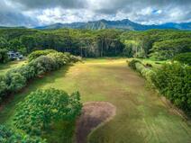 MLS#705351 — Kilauea Real Estate