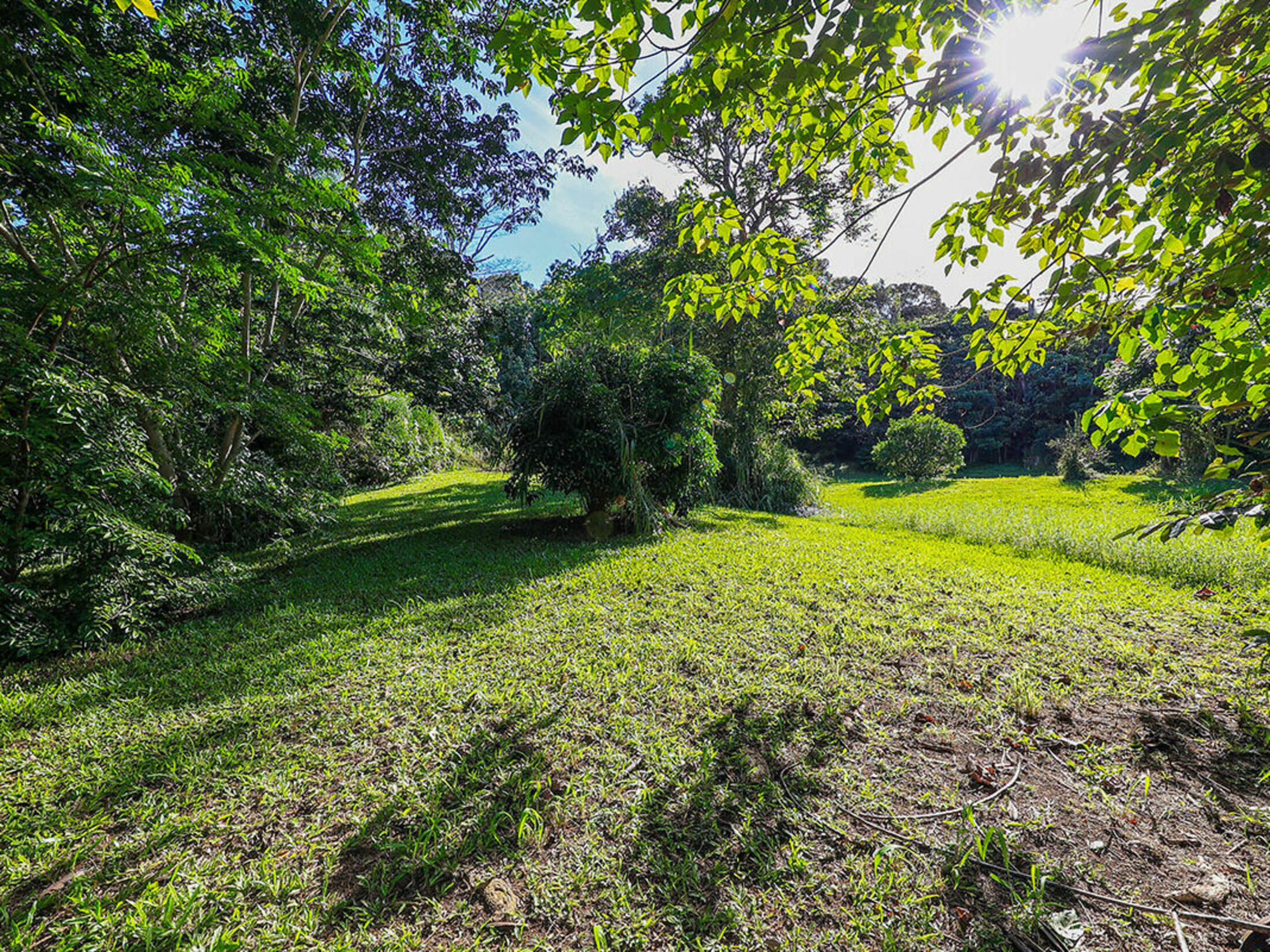 Property photo 15
