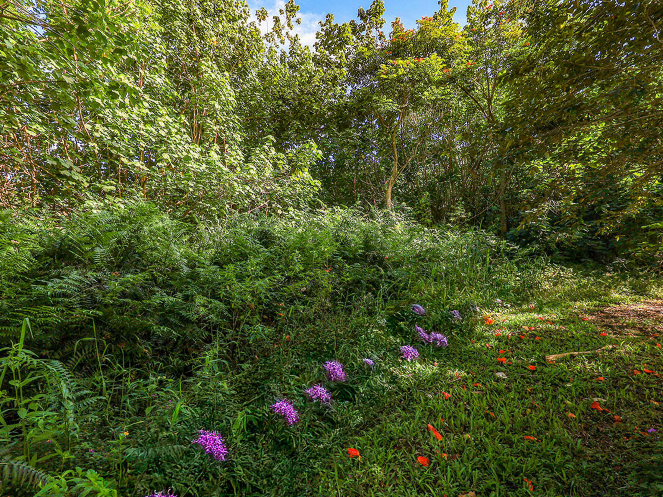 Property photo 18