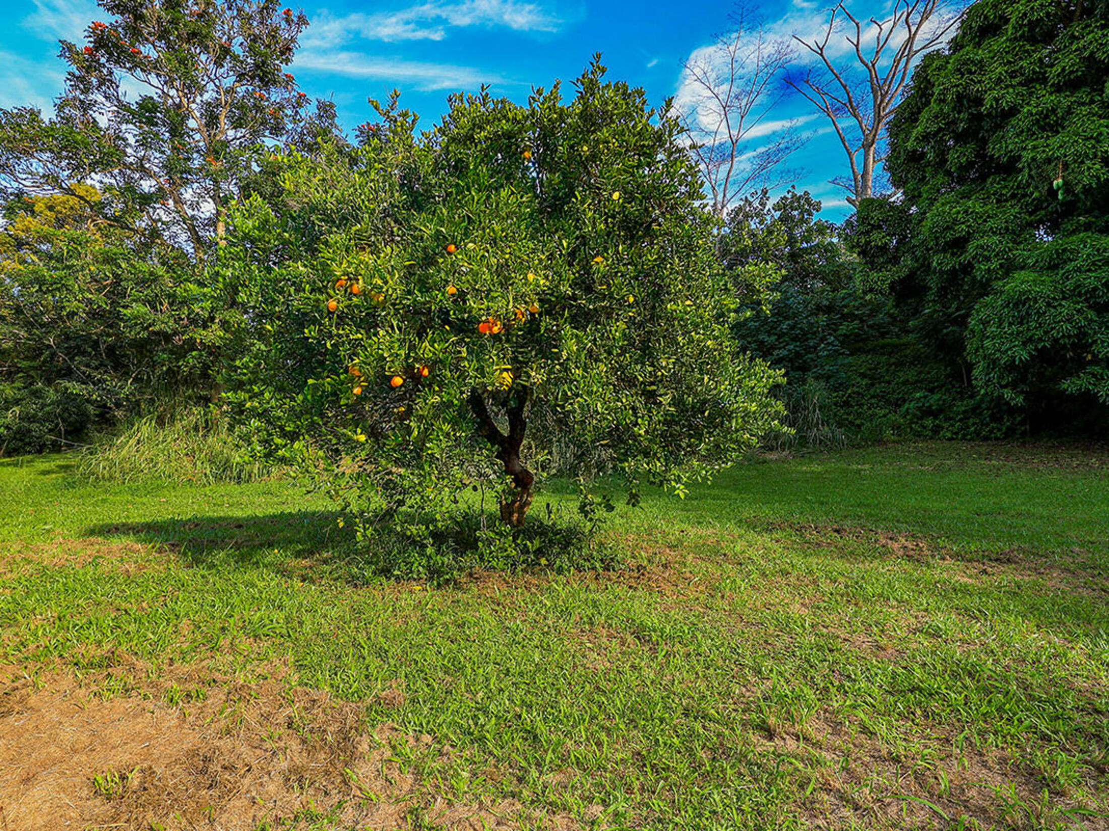 Property photo 19