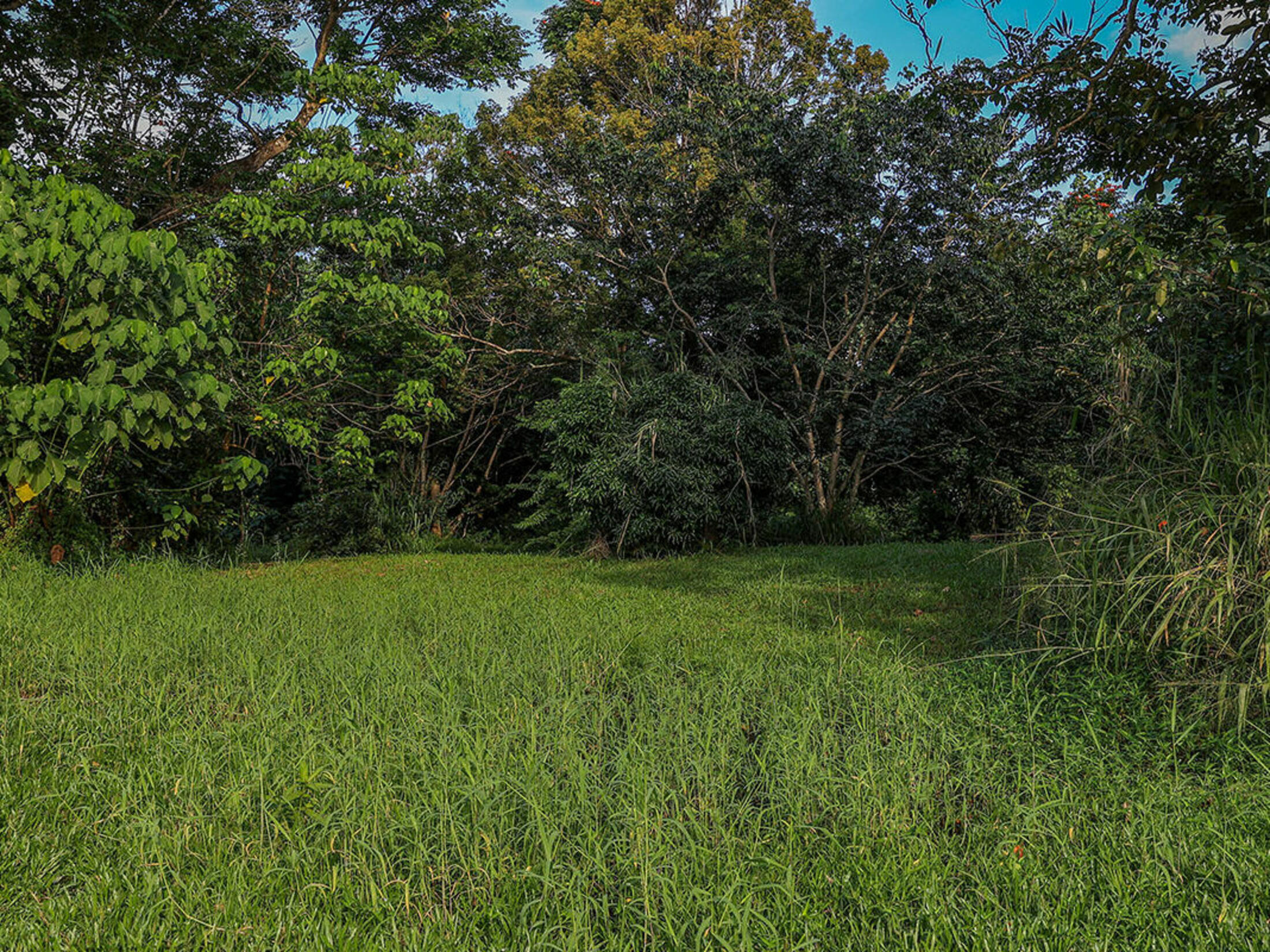 Property photo 20