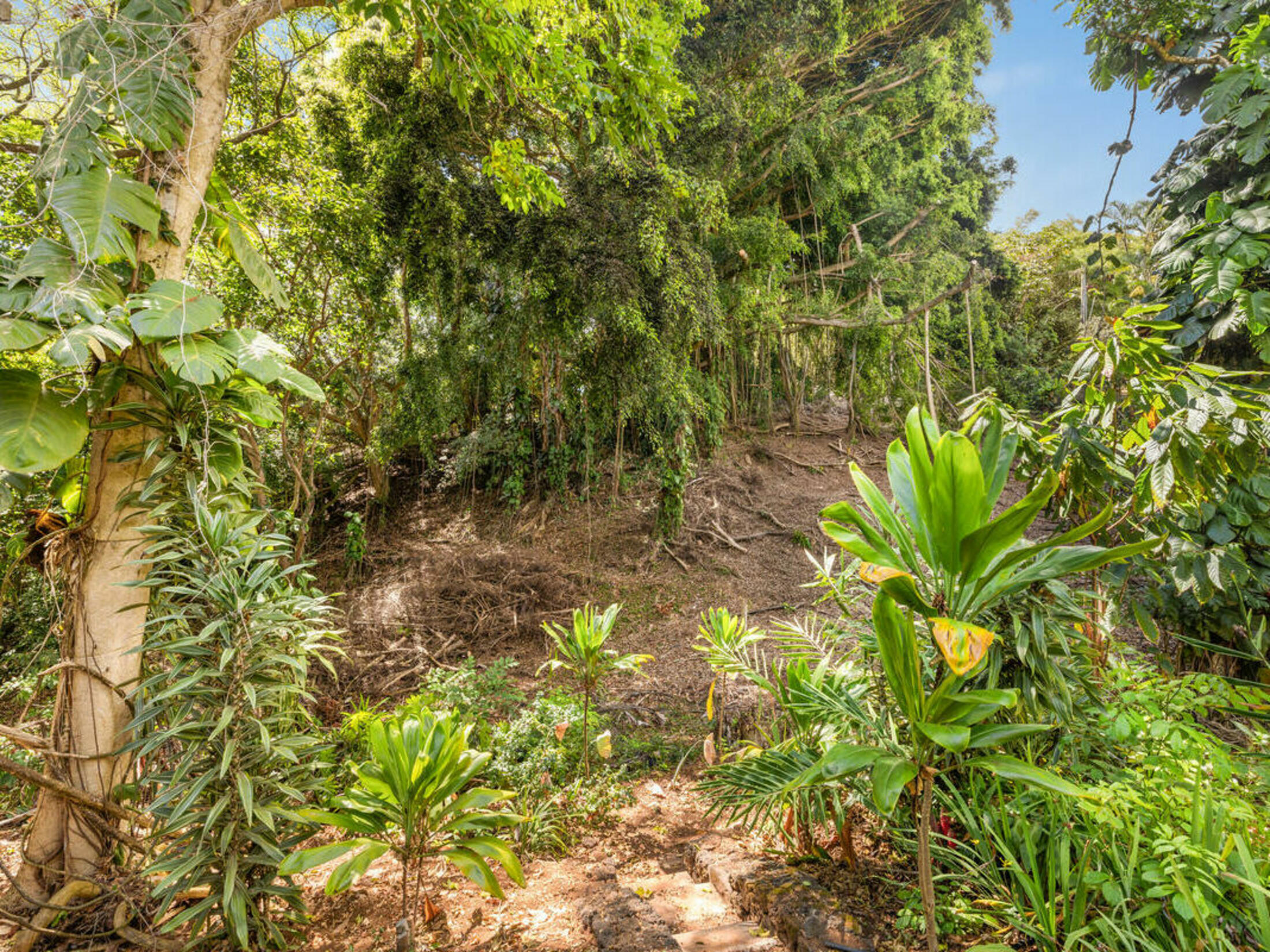 Property photo 26
