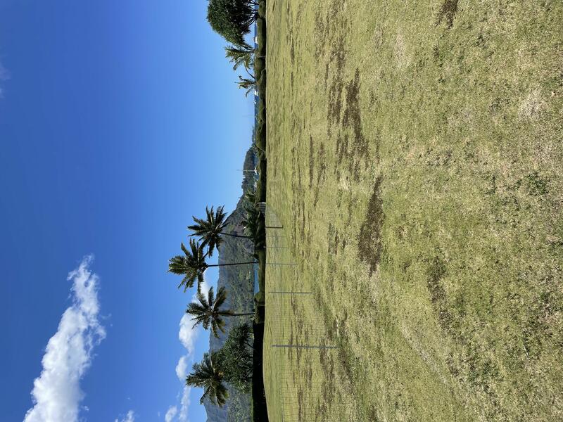 MLS#724191 — Hanalei Real Estate