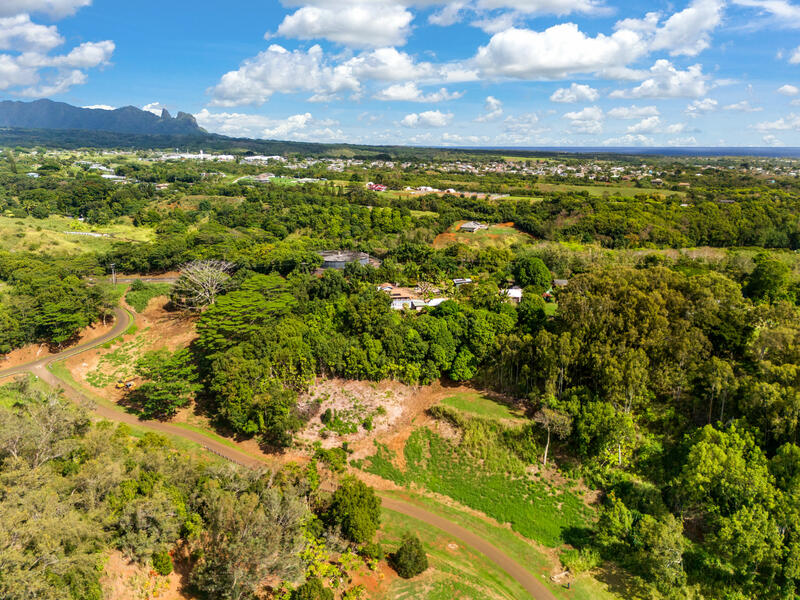 MLS#728491 — Kapaa Real Estate