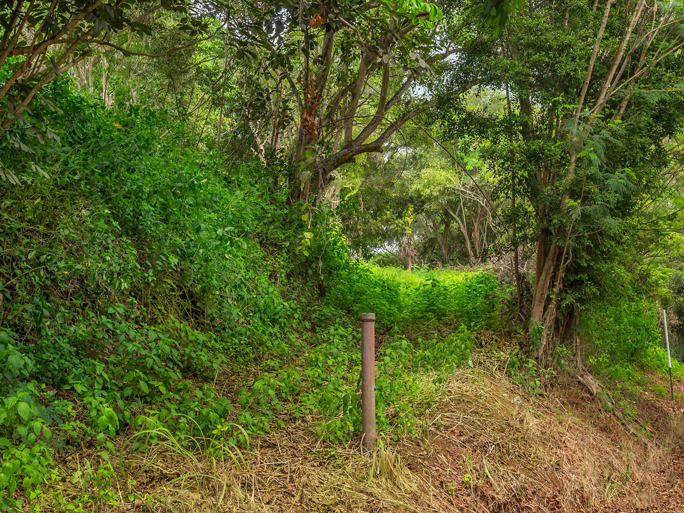 Property photo 13