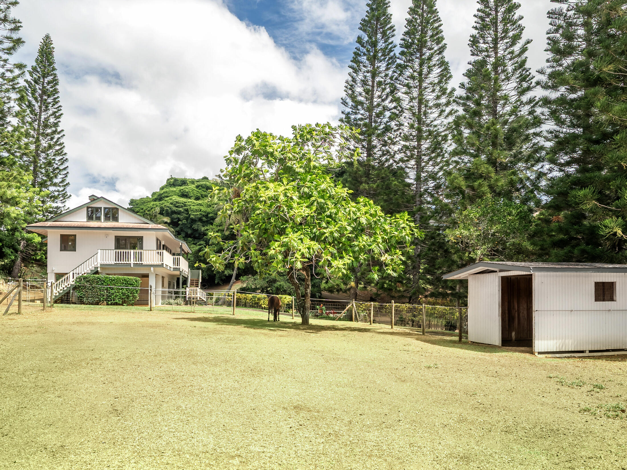 Property photo 24