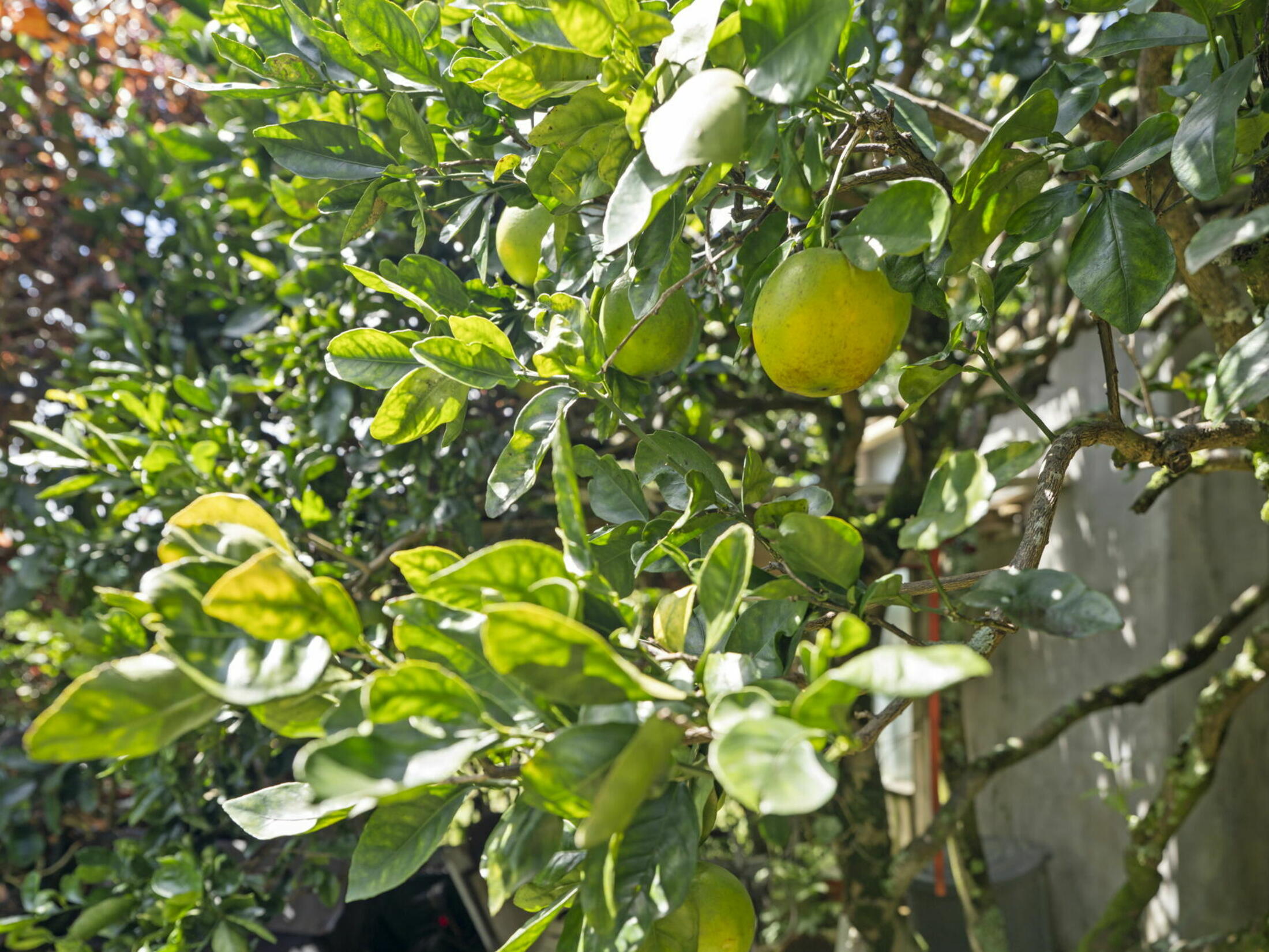 Property photo 25