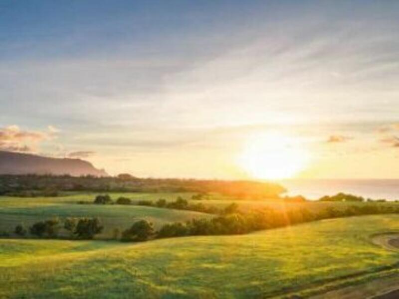 MLS#729923 — Kilauea Real Estate