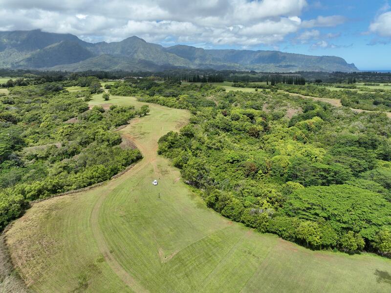 MLS#731333 — Princeville Real Estate