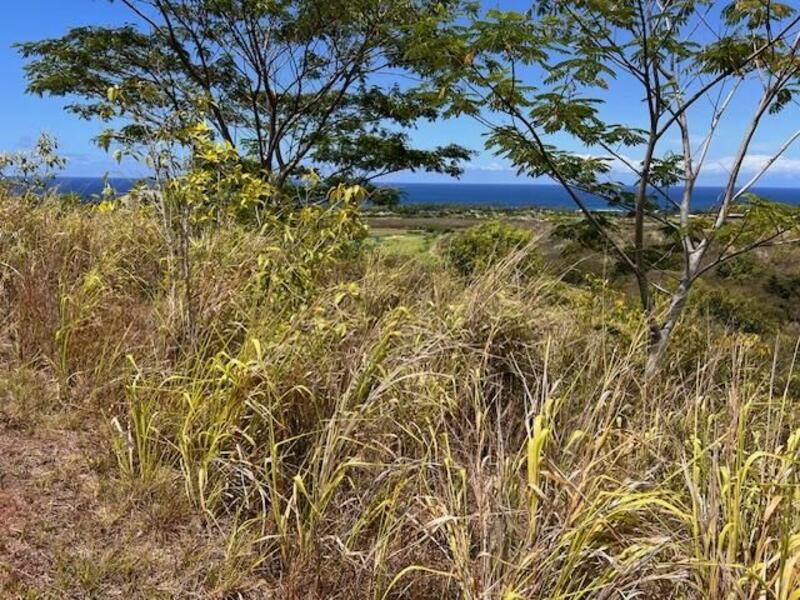 MLS#732213 — Koloa Real Estate