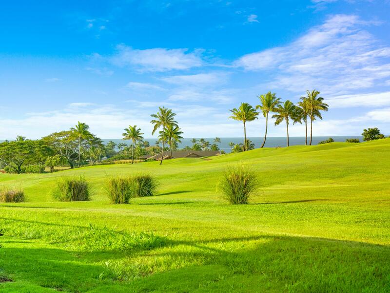 MLS#733613 — Koloa Real Estate
