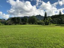 MLS#668494 — Kilauea Real Estate