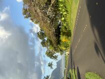 MLS#717394 — Princeville Real Estate