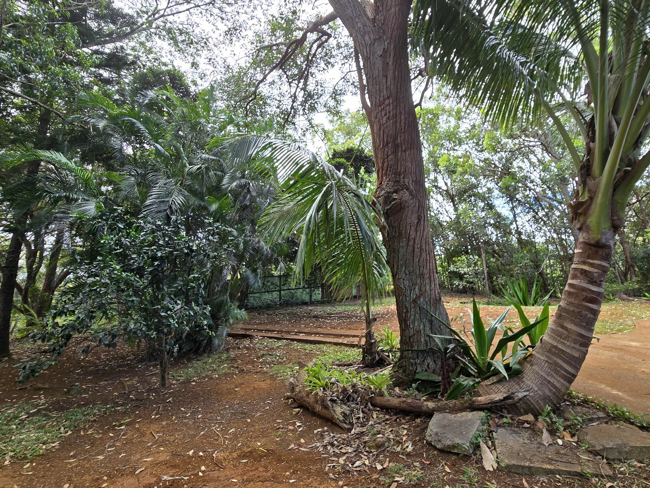Property photo 22