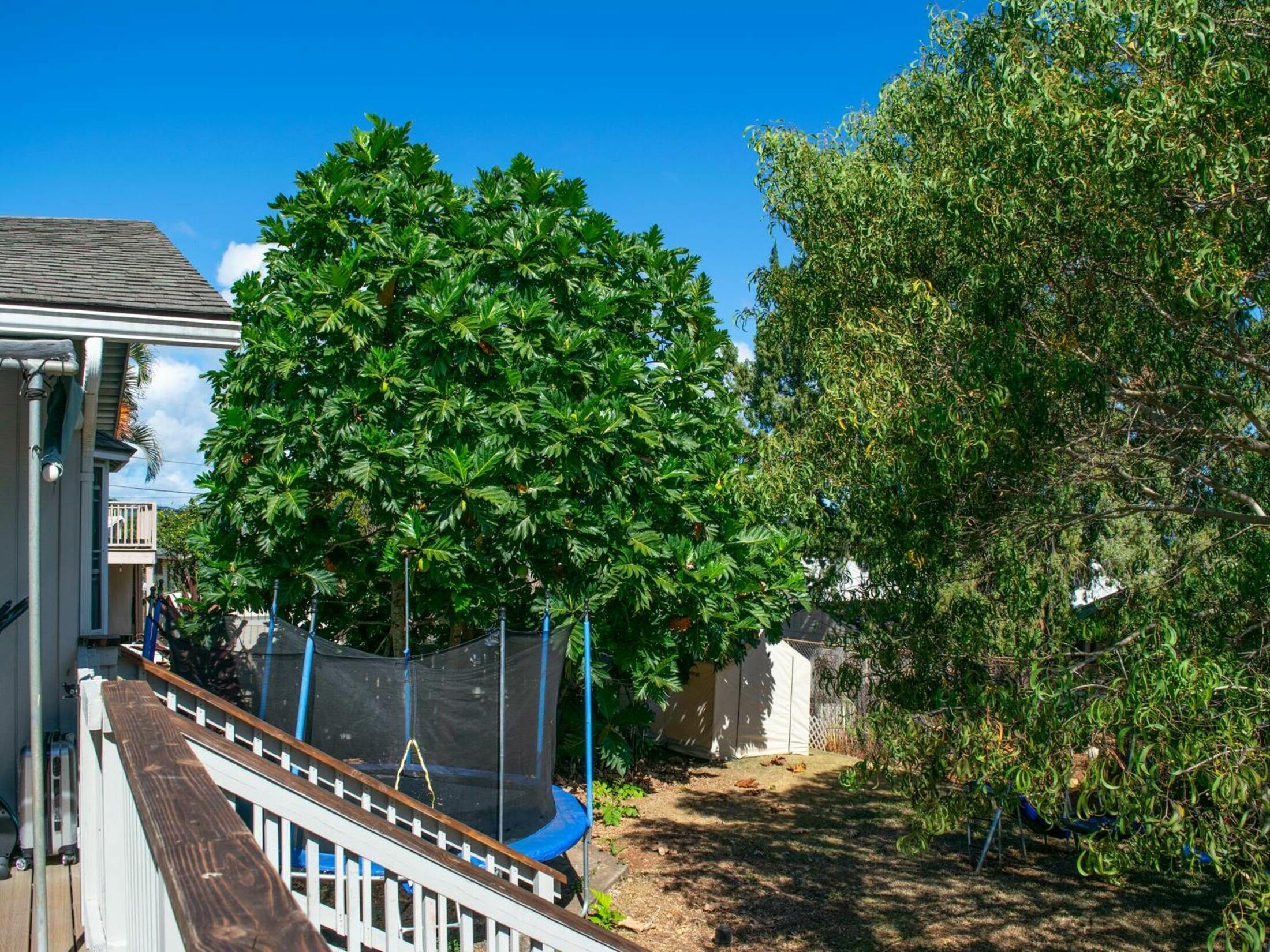 Property photo 17