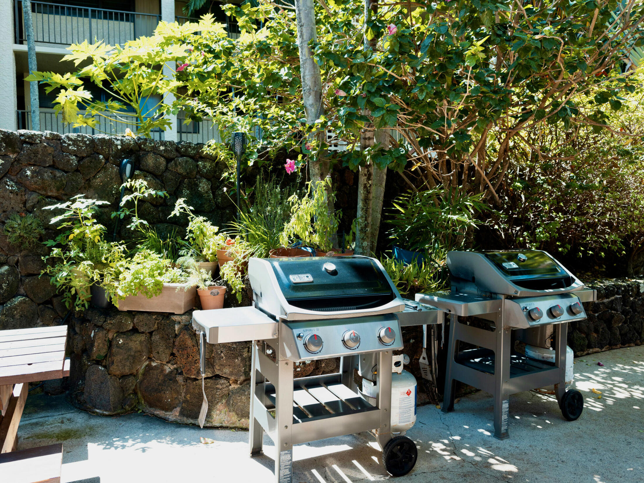 Property photo 19
