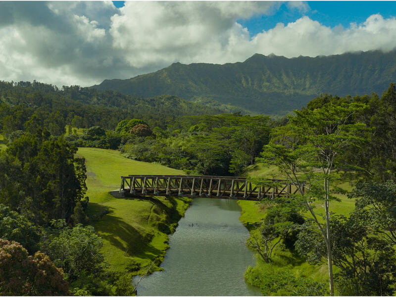 MLS#724854 — Kilauea Real Estate