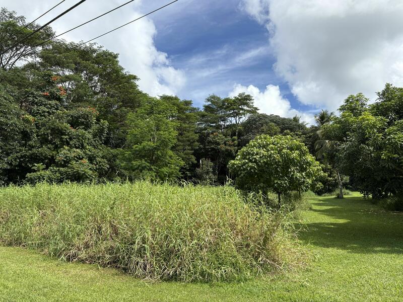MLS#724904 — Kilauea Real Estate