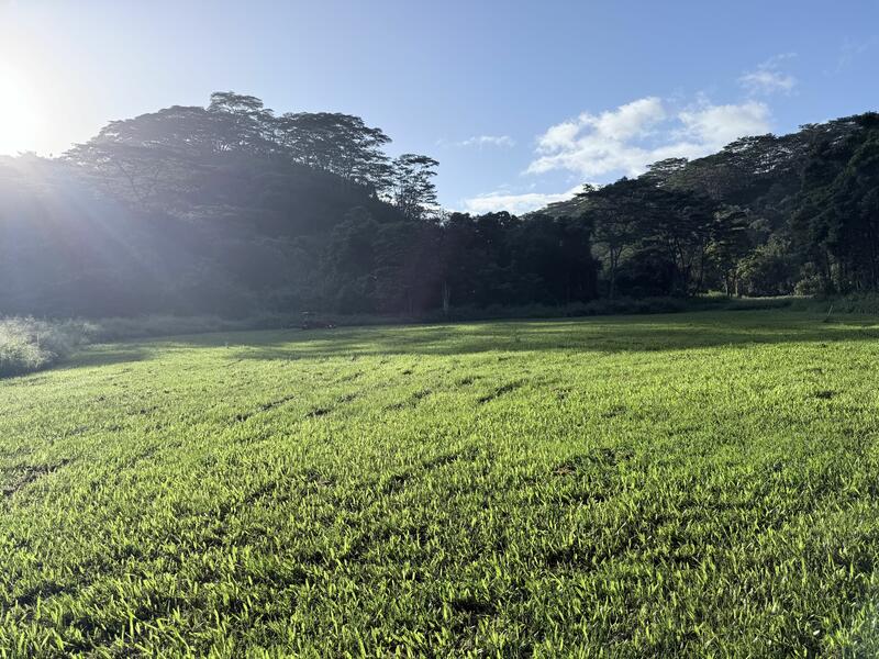 MLS#727454 — Kilauea Real Estate