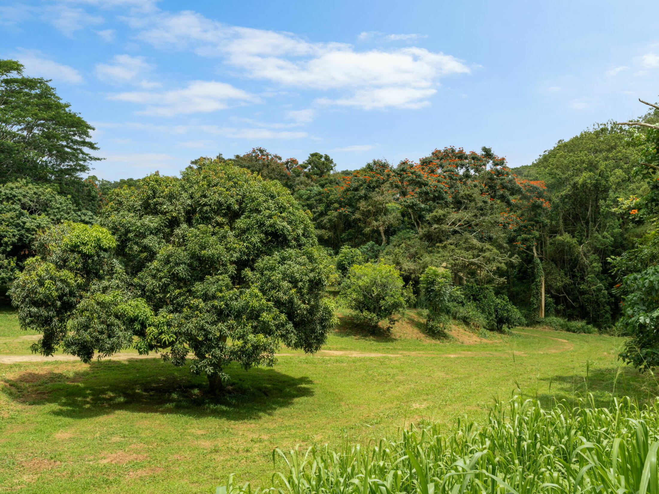Property photo 25