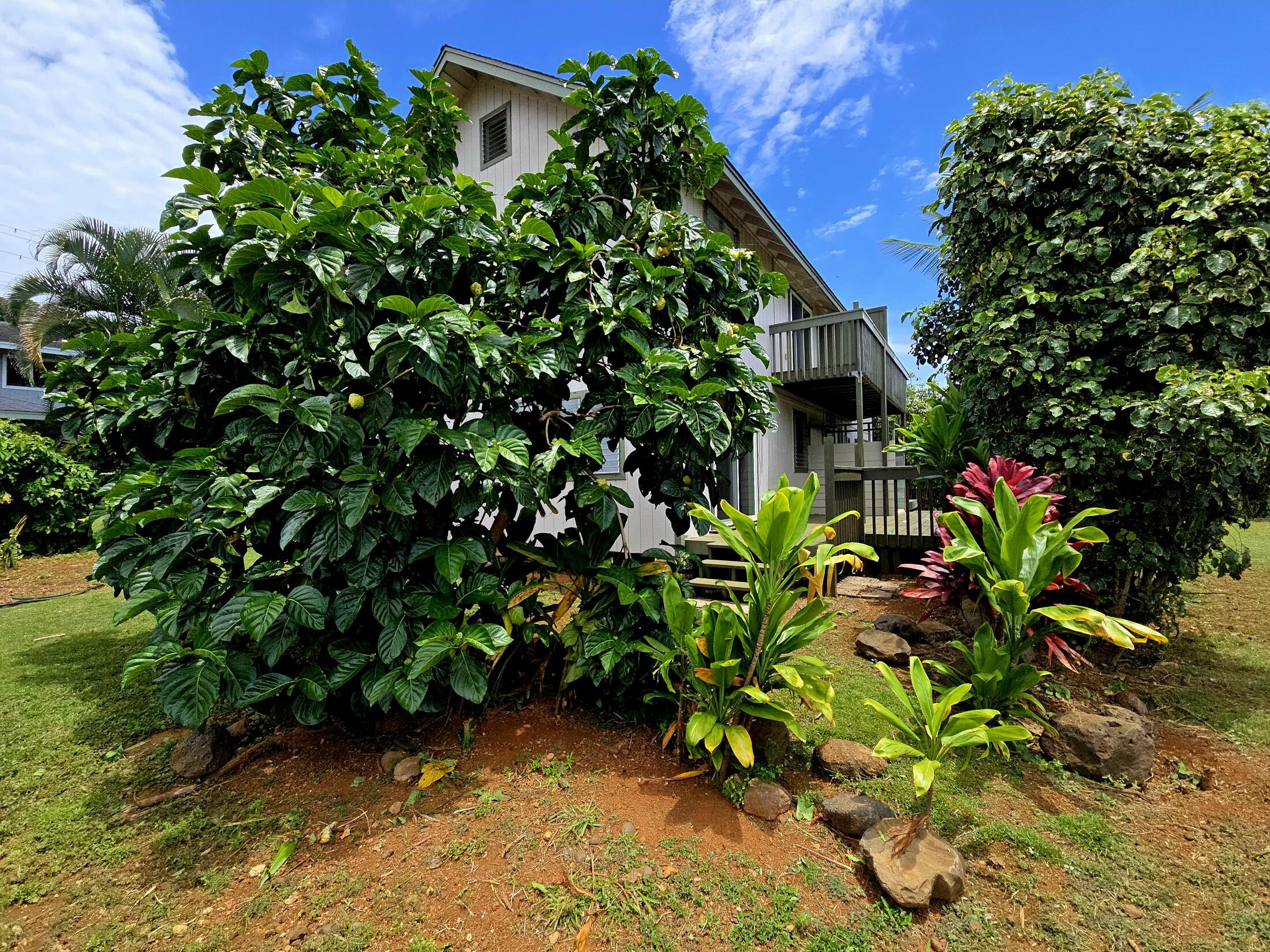 Property photo 29