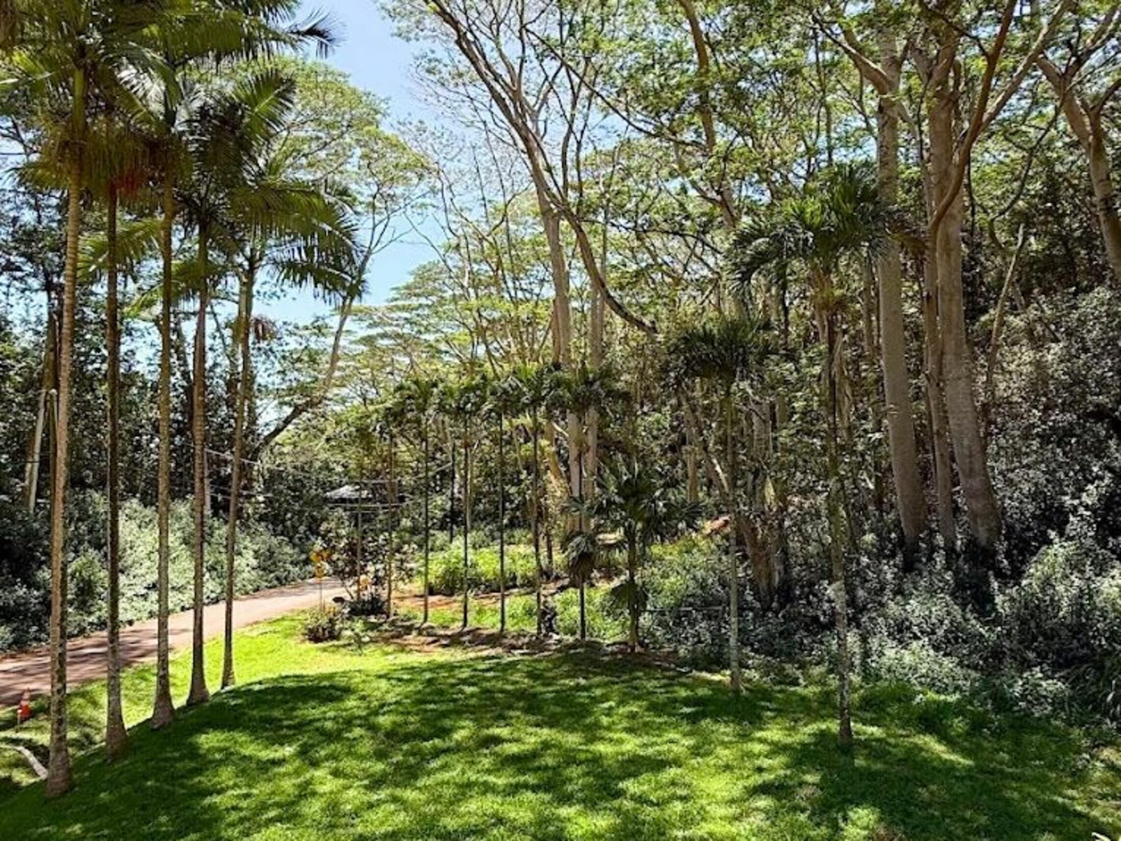 Property photo 19