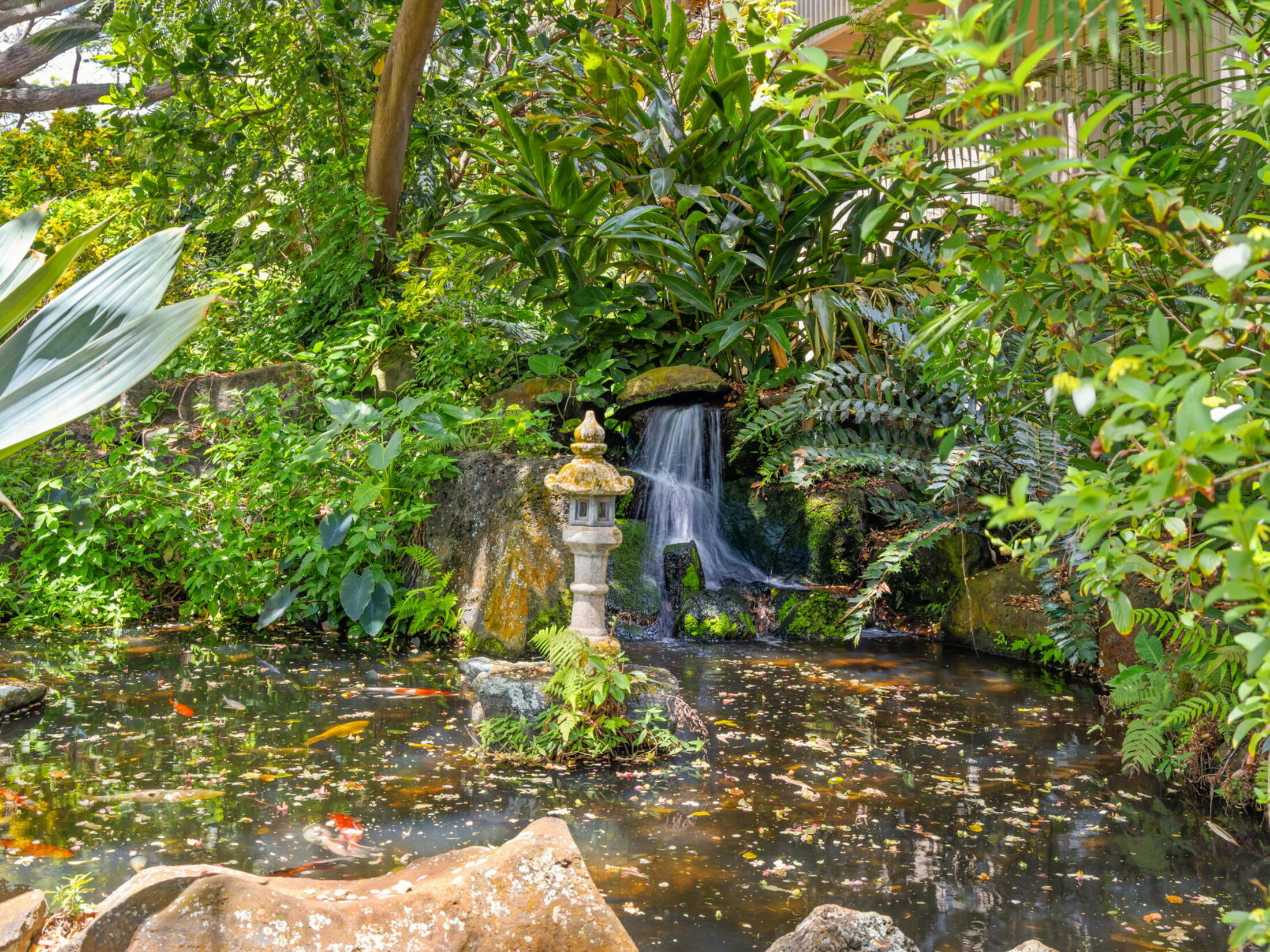 Property photo 19