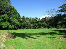 MLS#666985 — Kilauea Real Estate