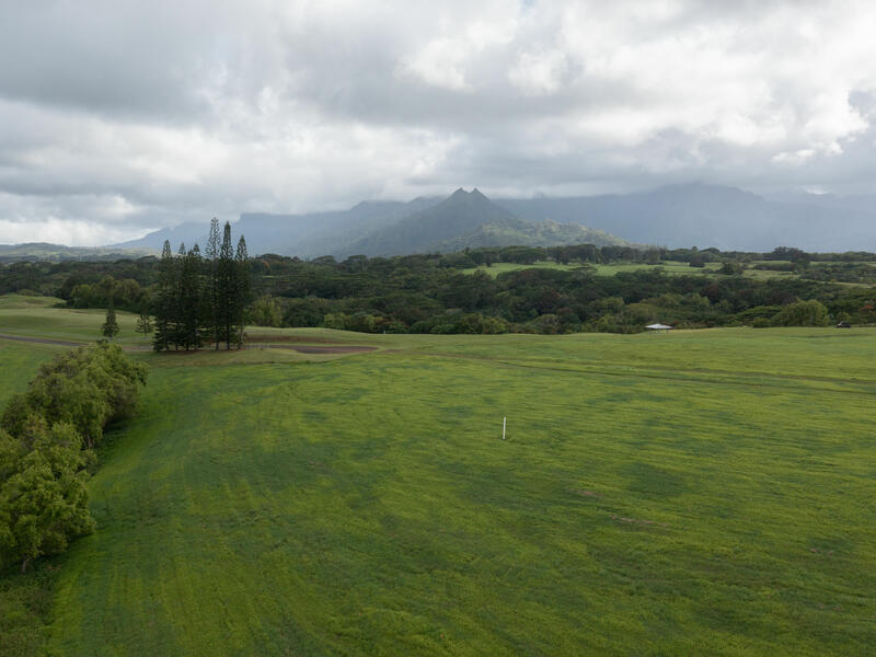 MLS#732585 — Kilauea Real Estate