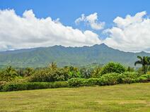 MLS#709556 — Kilauea Real Estate