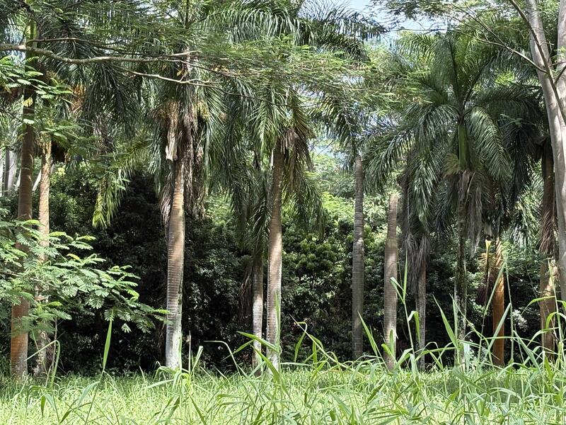 MLS#724906 — Kilauea Real Estate