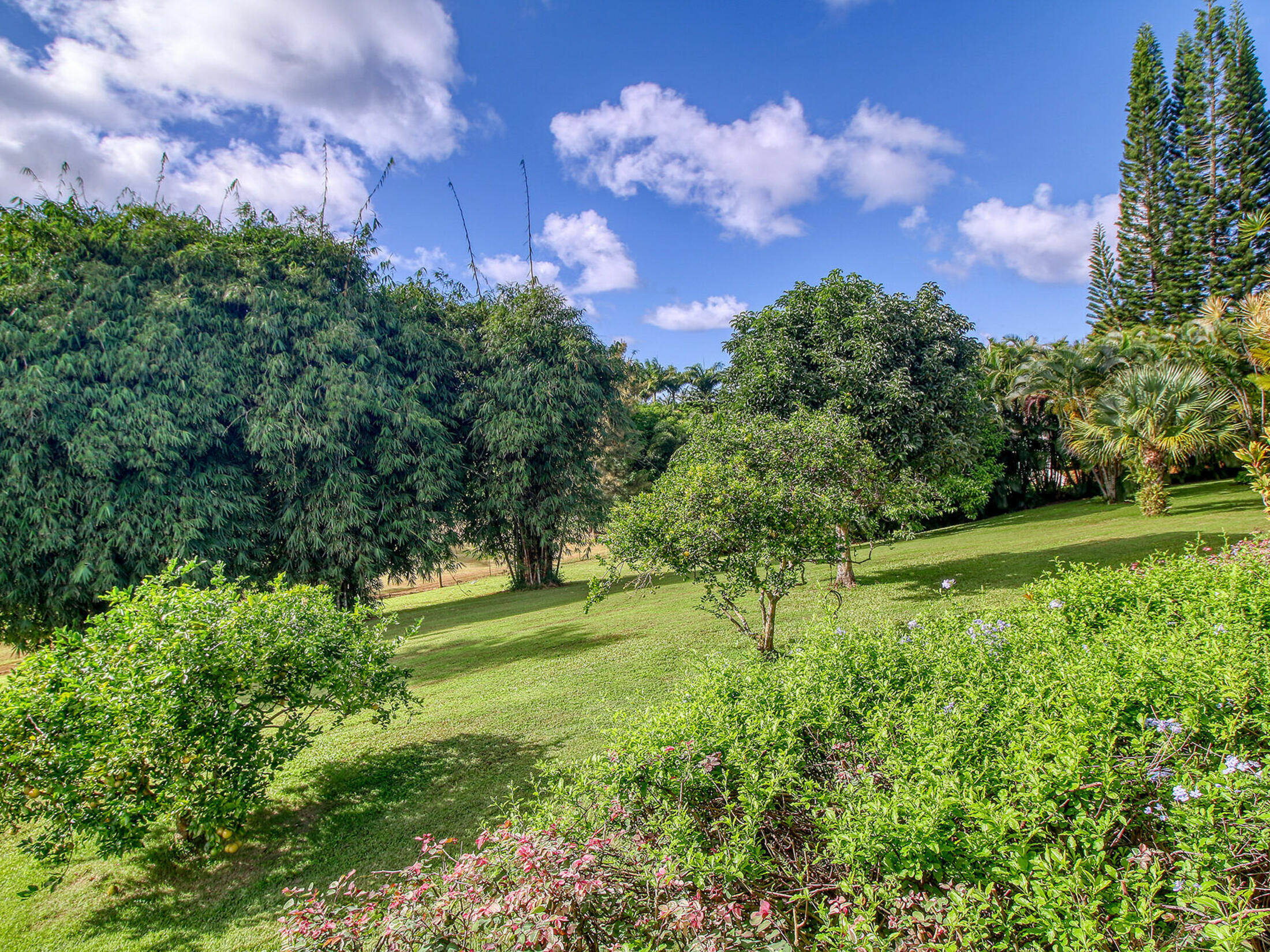 Property photo 30