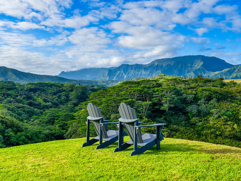 MLS#727156 — Kilauea Real Estate