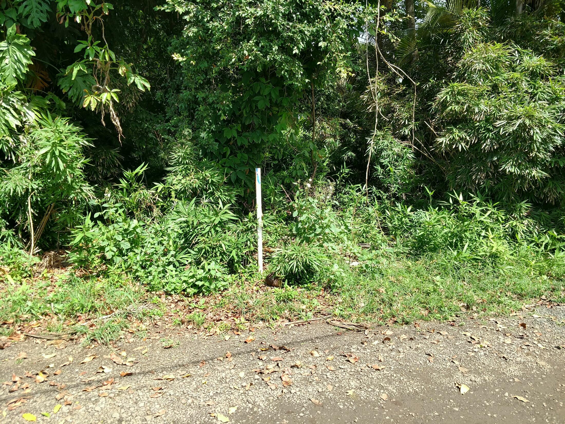 Property photo 18