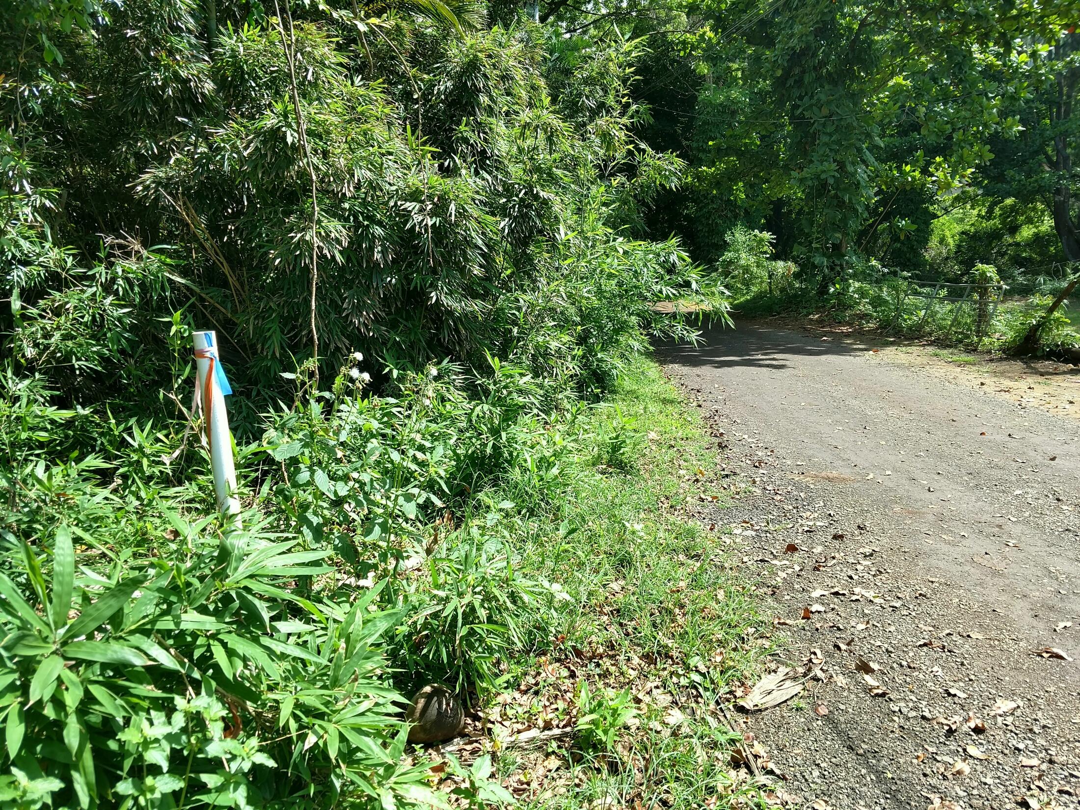 Property photo 19